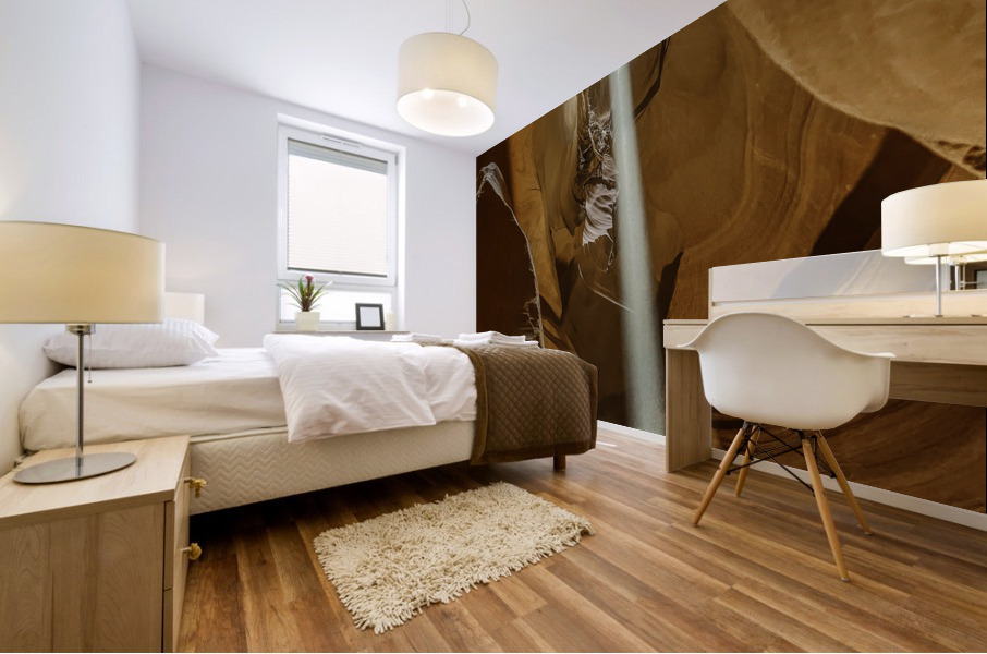 Antelope Beams Mural print