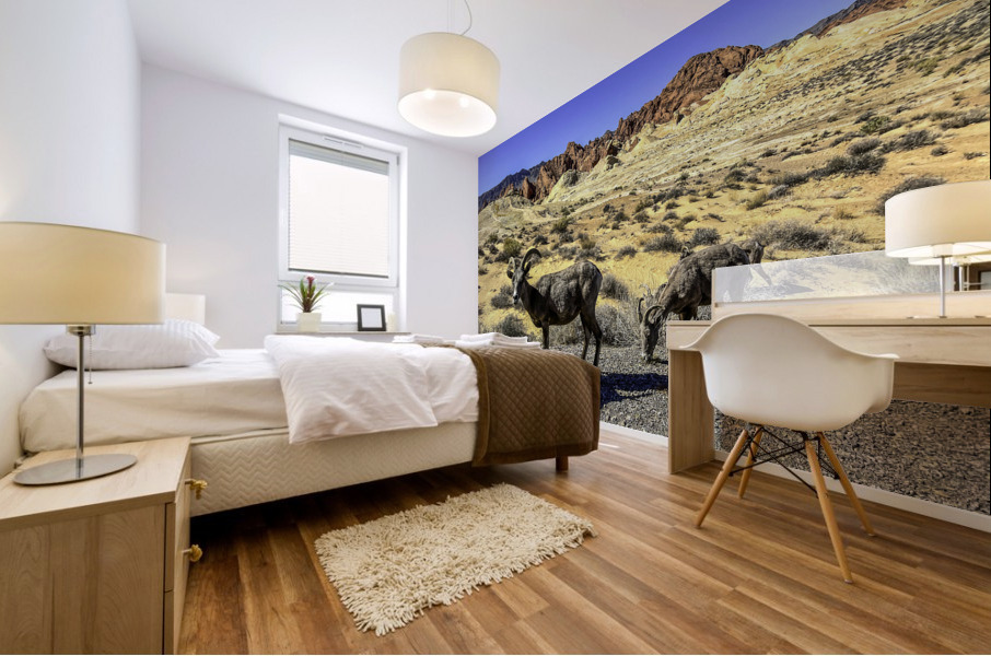 Desert Denizens Mural print