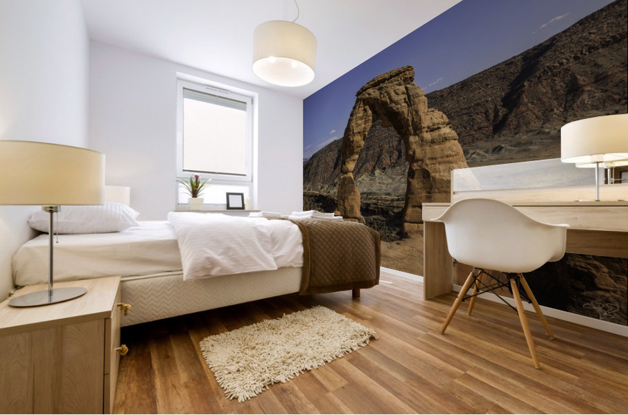 Delicate Arch Camera Pose Mural print