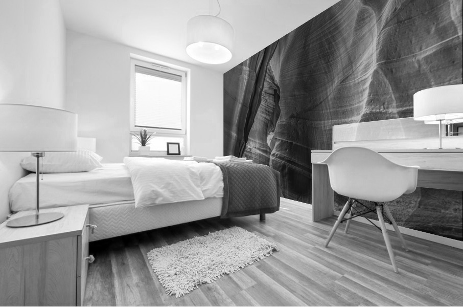 Spinning Top BW Mural print