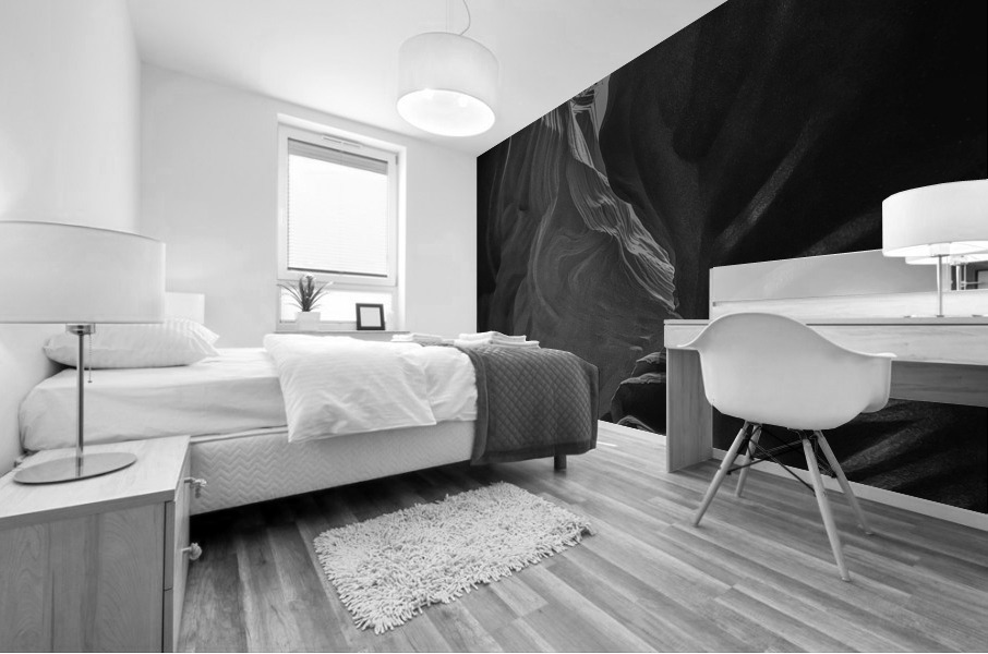 Swirling Shadows BW Mural print