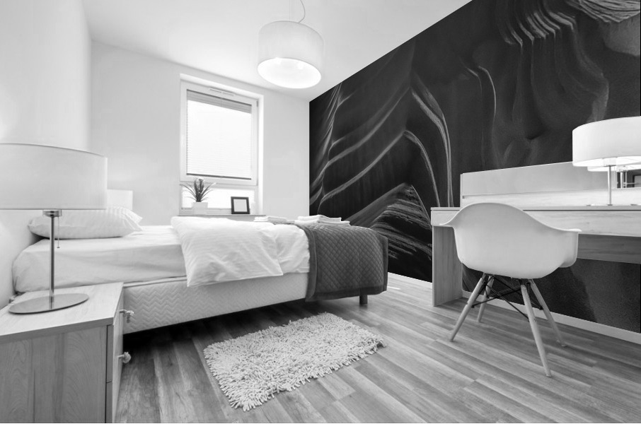 Canyon Waves BW Mural print