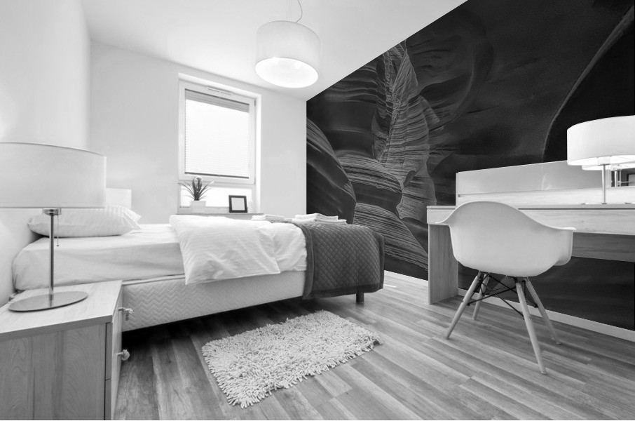 Canyon Contours BW Mural print