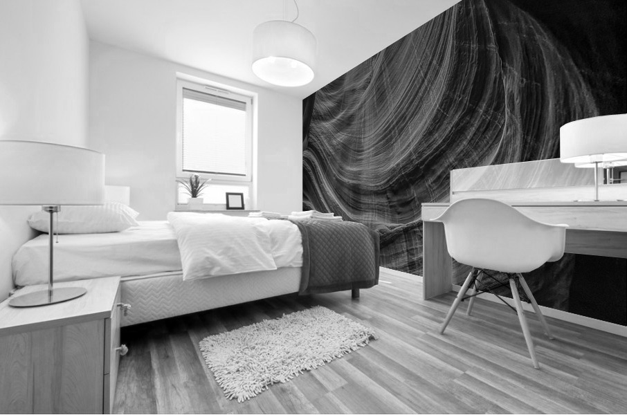 Canyon Column BW Mural print