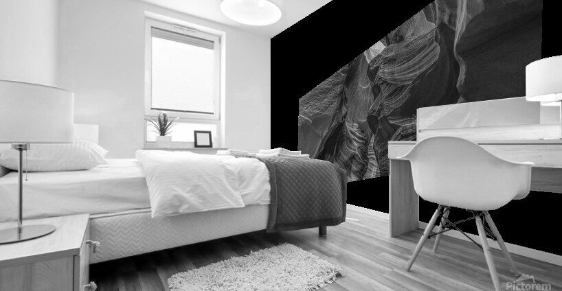 Column Cavalcade BW Mural print