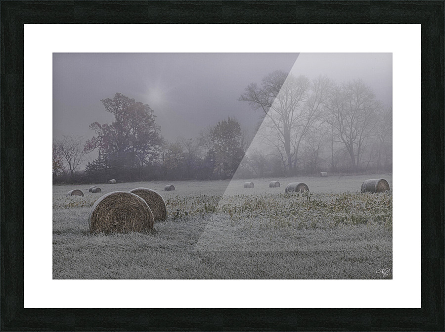 First Frost Picture Frame print
