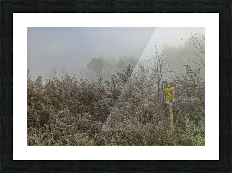 No Motorized Vehicles Picture Frame print