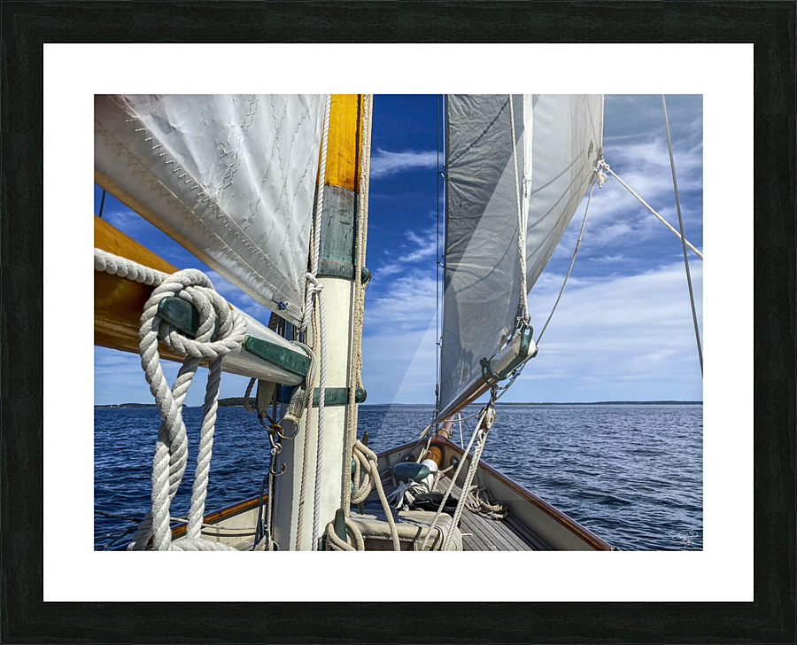 Sailing Life Picture Frame print