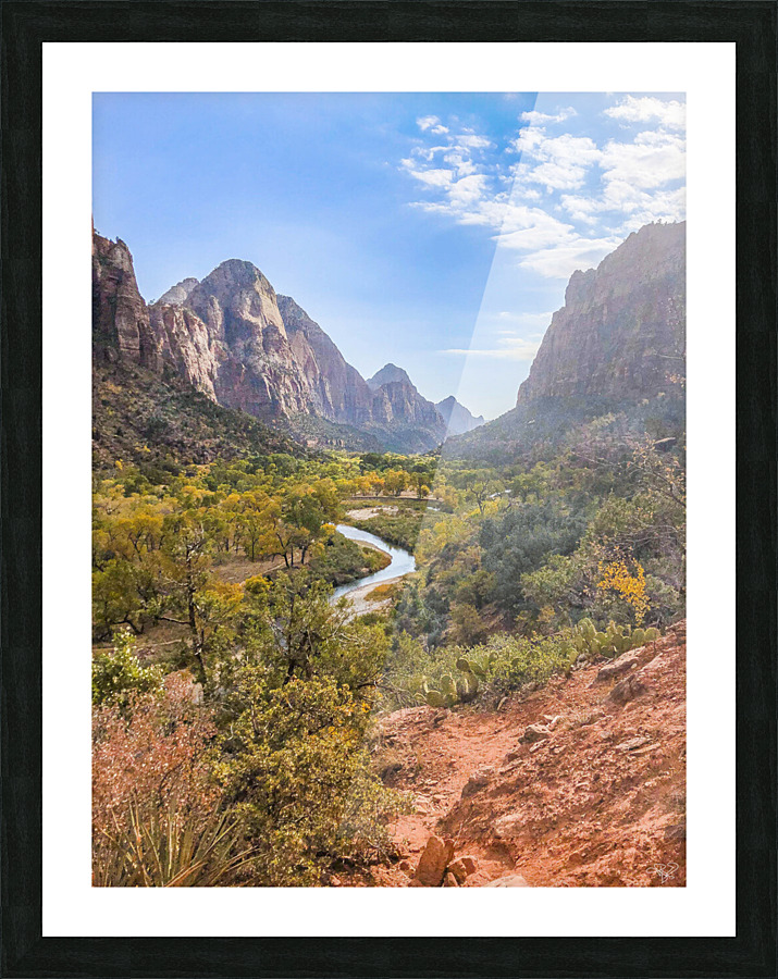 Zion Winding Stream Picture Frame print
