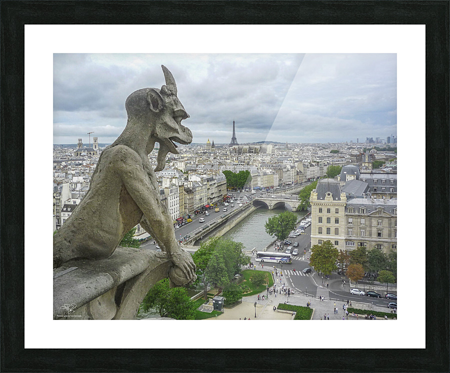 The Watcher Picture Frame print