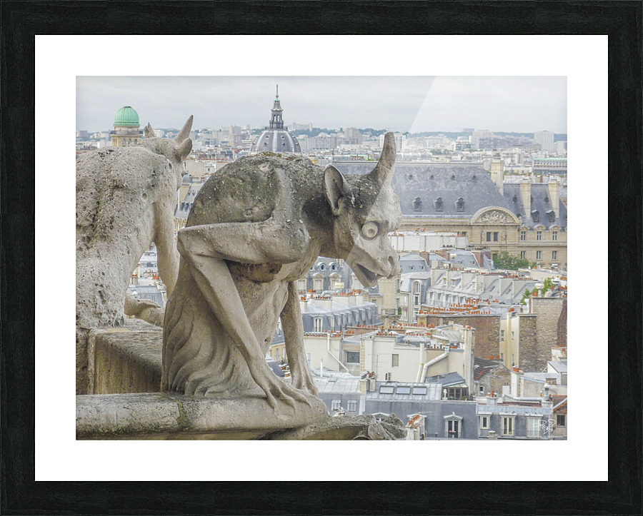 The Lonely Observer   Picture Frame print