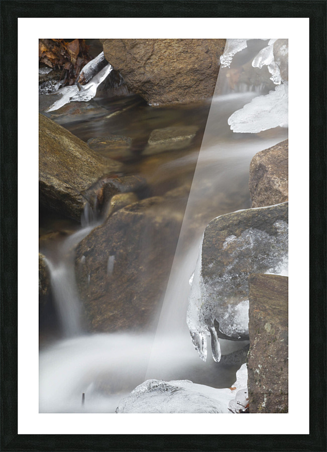 Winter Solace 2 Picture Frame print