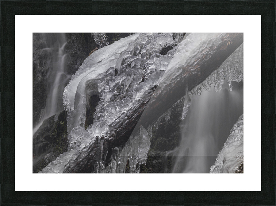 Winter Solace 5 Picture Frame print