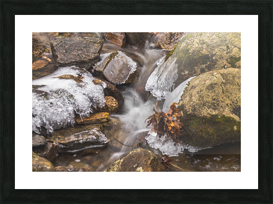 Winter Solace 15 Picture Frame print