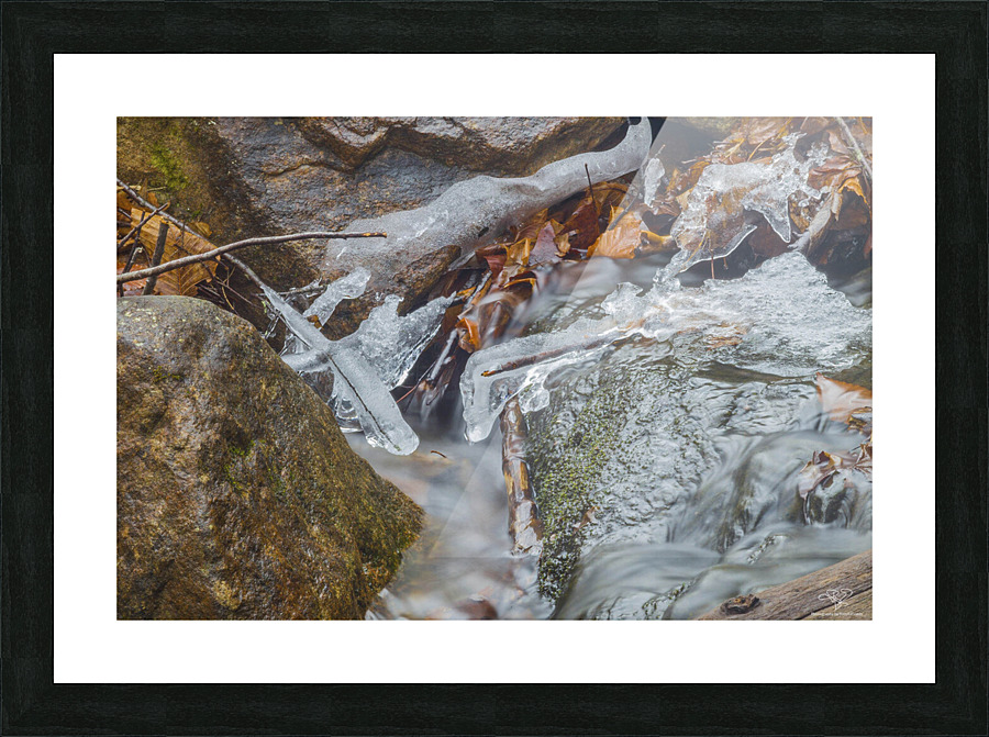 Ice Dance Picture Frame print