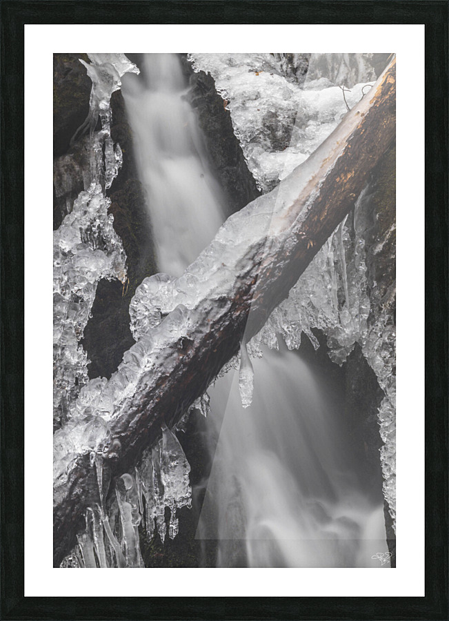 Winter Solace 9 Picture Frame print