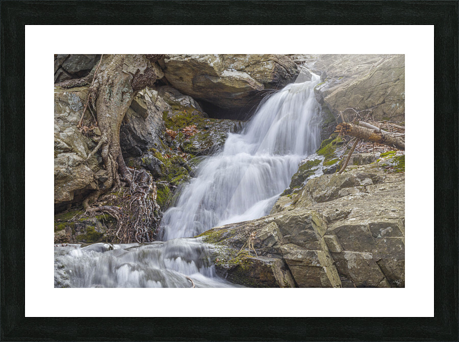 Black Rock Roots Picture Frame print