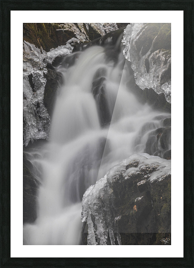 Winter Solace 6 Picture Frame print