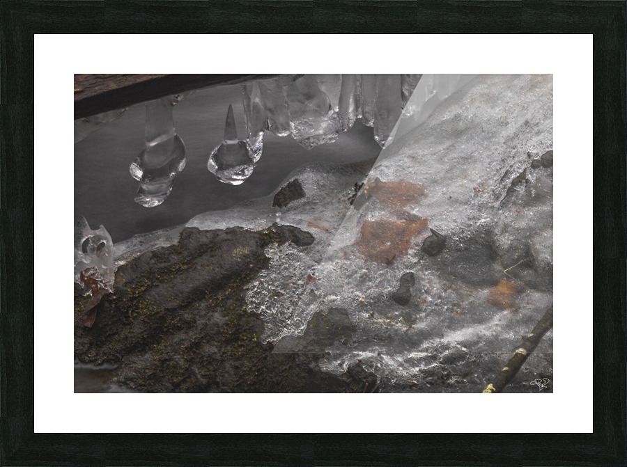 Winter Solace 4 Picture Frame print