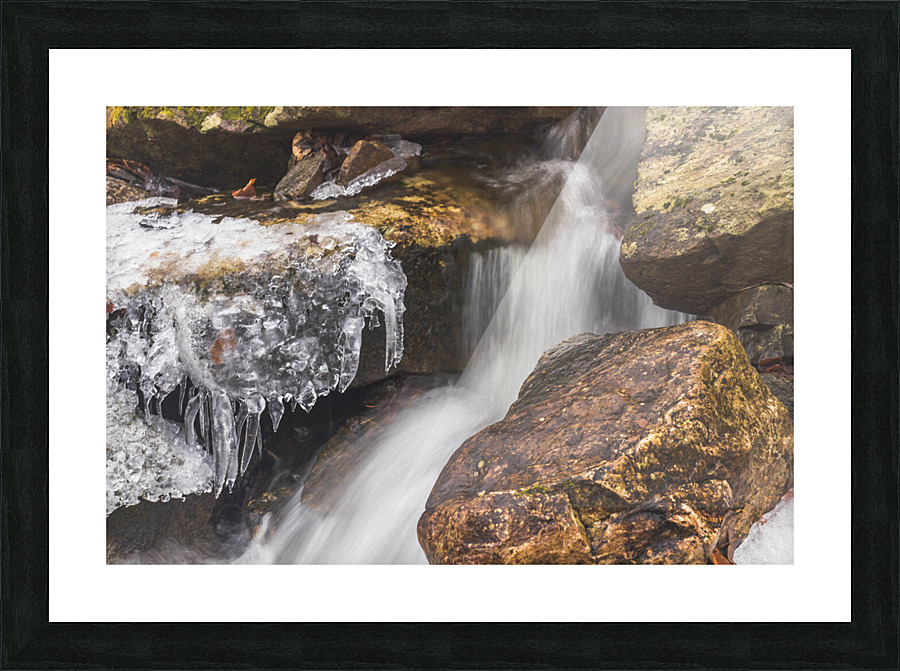 Winter Solace 14 Picture Frame print