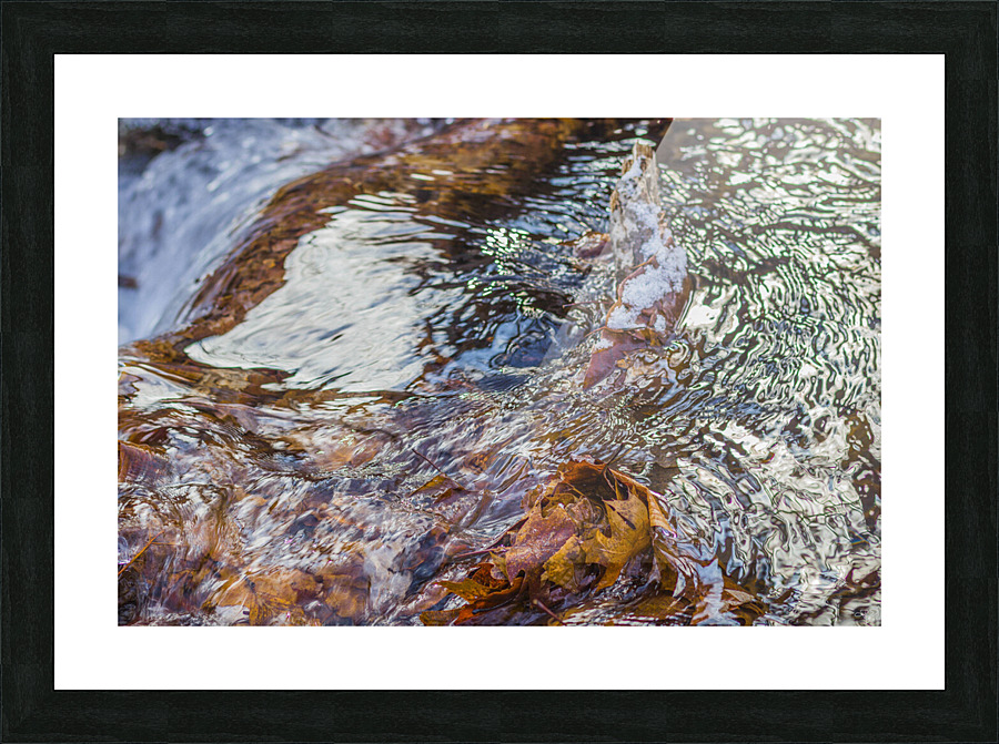 Winter Solace 18 Picture Frame print