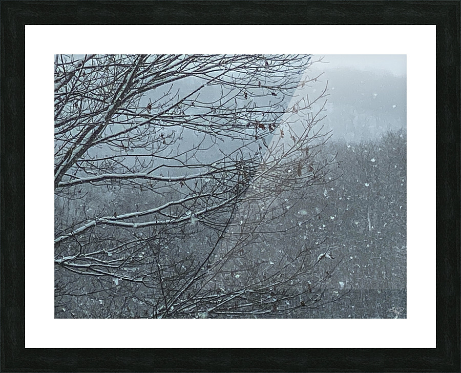 First Snow Picture Frame print