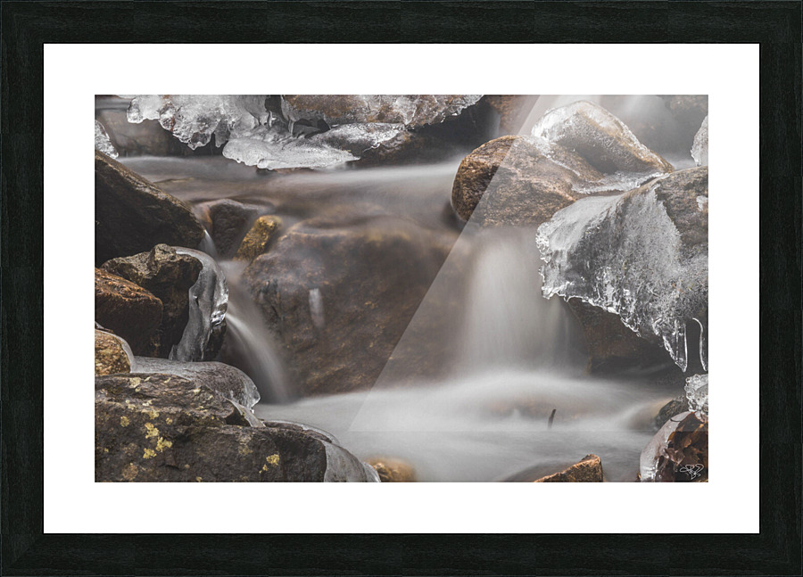 Winter Solace 1 Picture Frame print