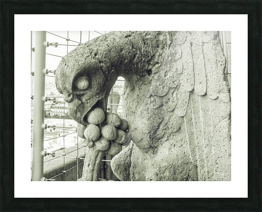 Mangiaracina V Picture Frame print
