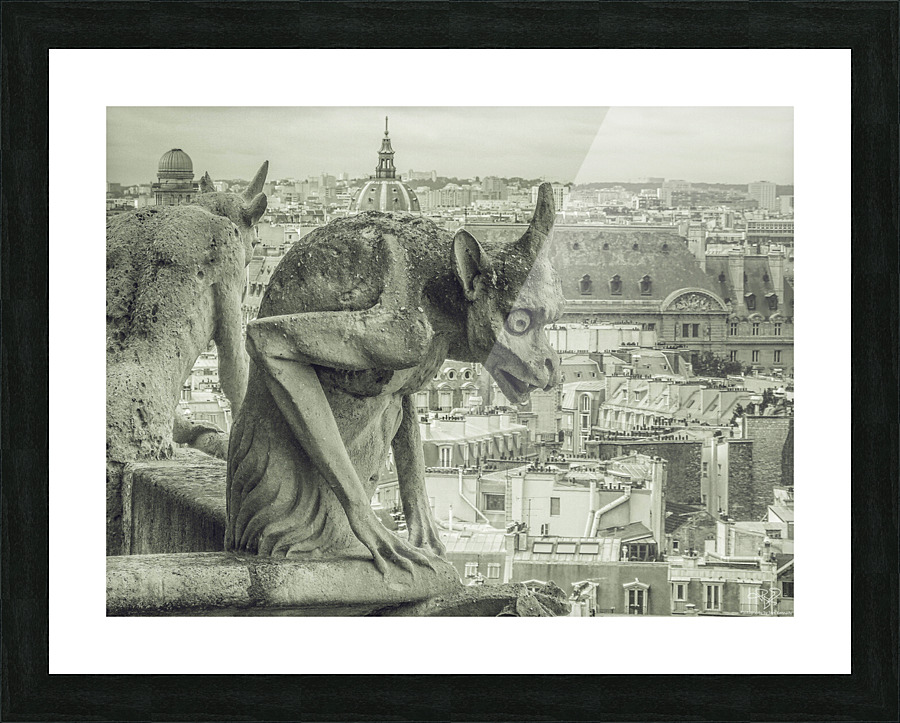 The Lonely Observer V Picture Frame print