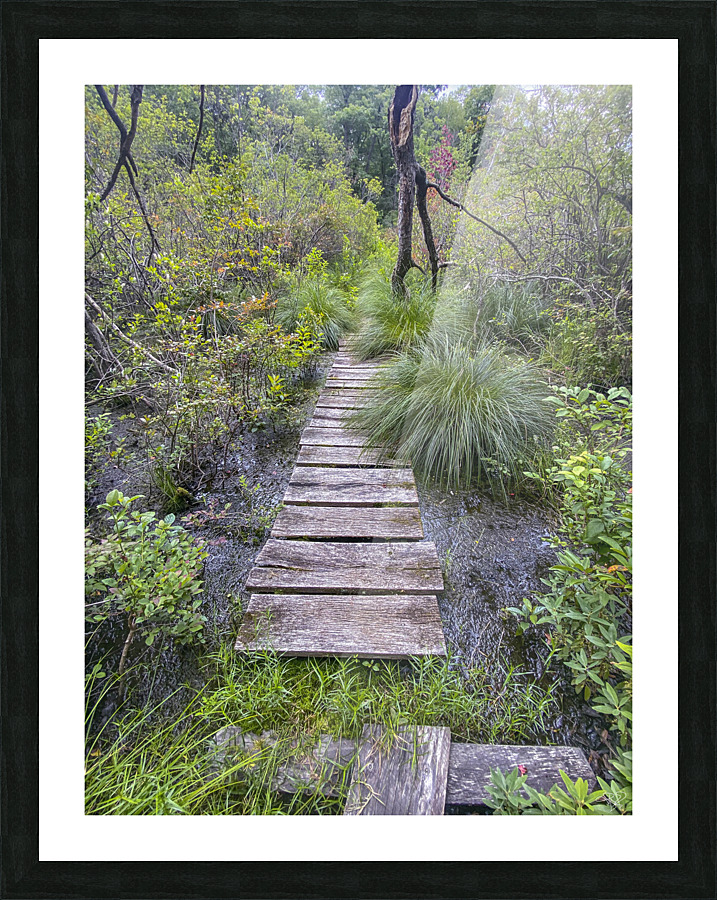 Happy Trails Picture Frame print