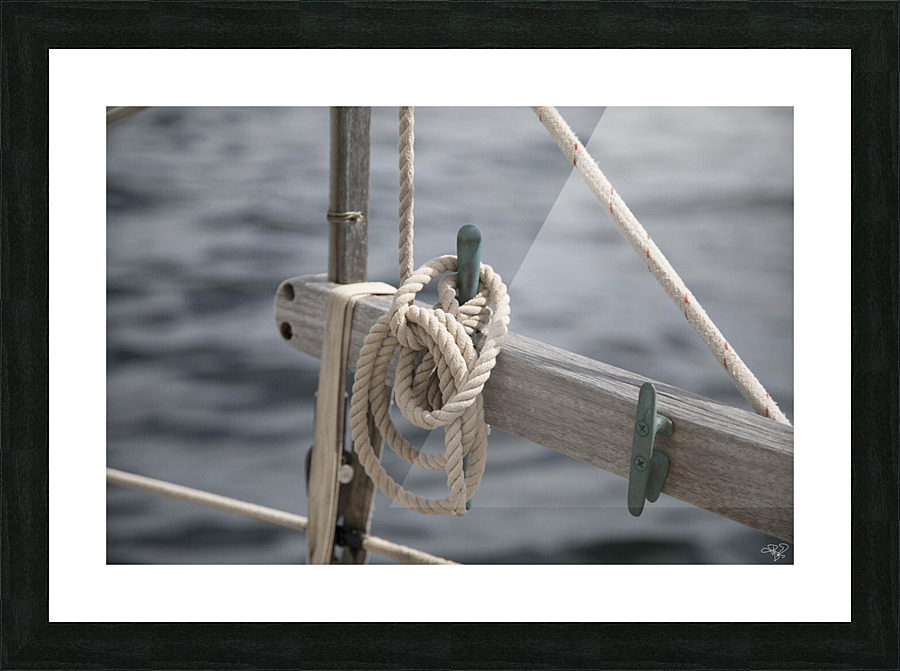 Safety Knots Picture Frame print