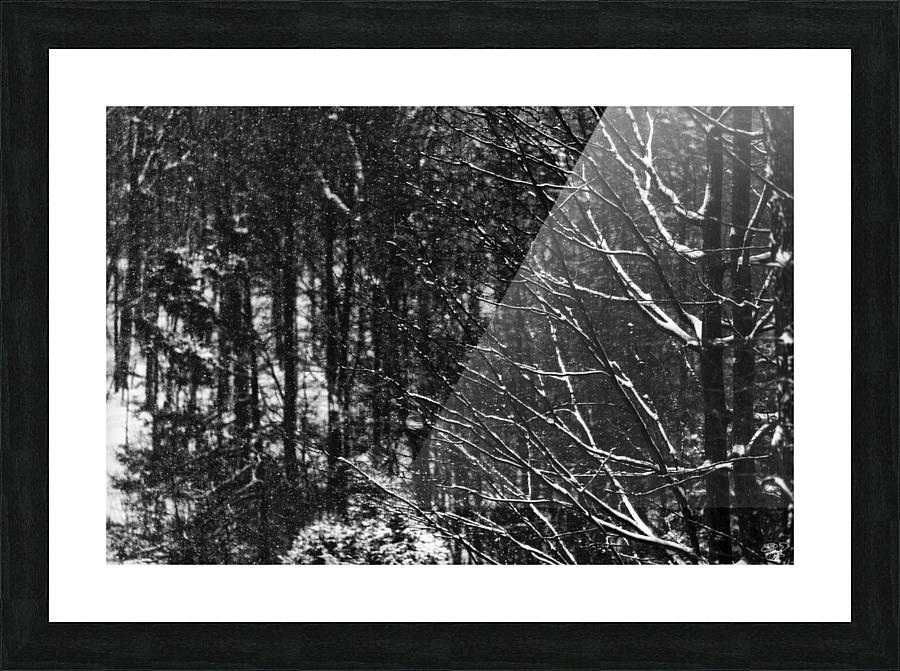 Winters Coming Picture Frame print