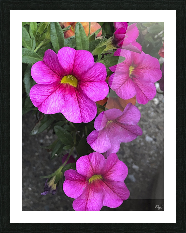Spring Portrait Picture Frame print
