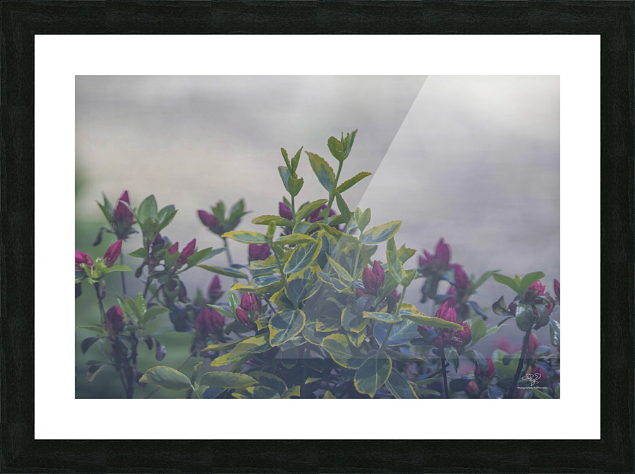 Evening Tips Picture Frame print
