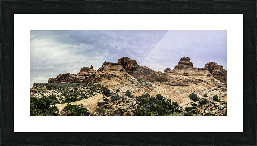 Wind Swept Range Panorama Picture Frame print