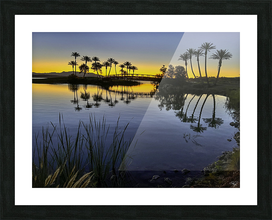 Palms at First Light Picture Frame print