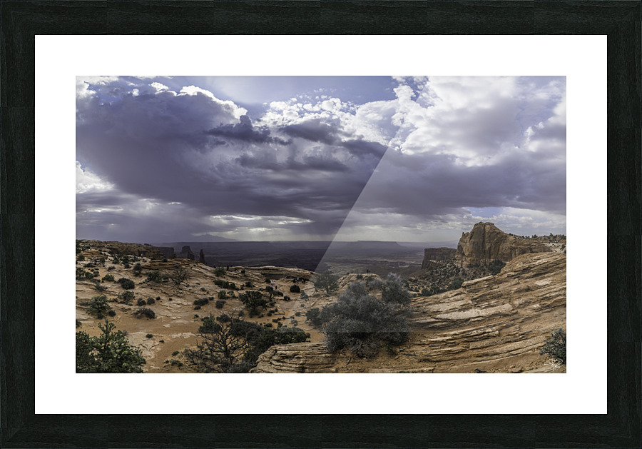 Meas Arch Macro Picture Frame print