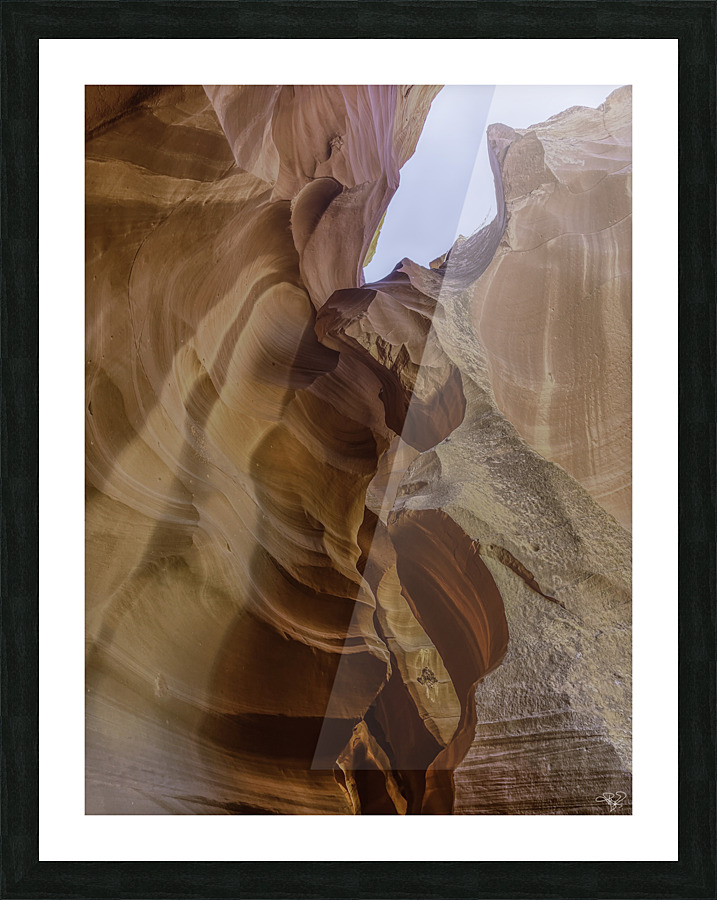 Antelope Winged Creature Picture Frame print