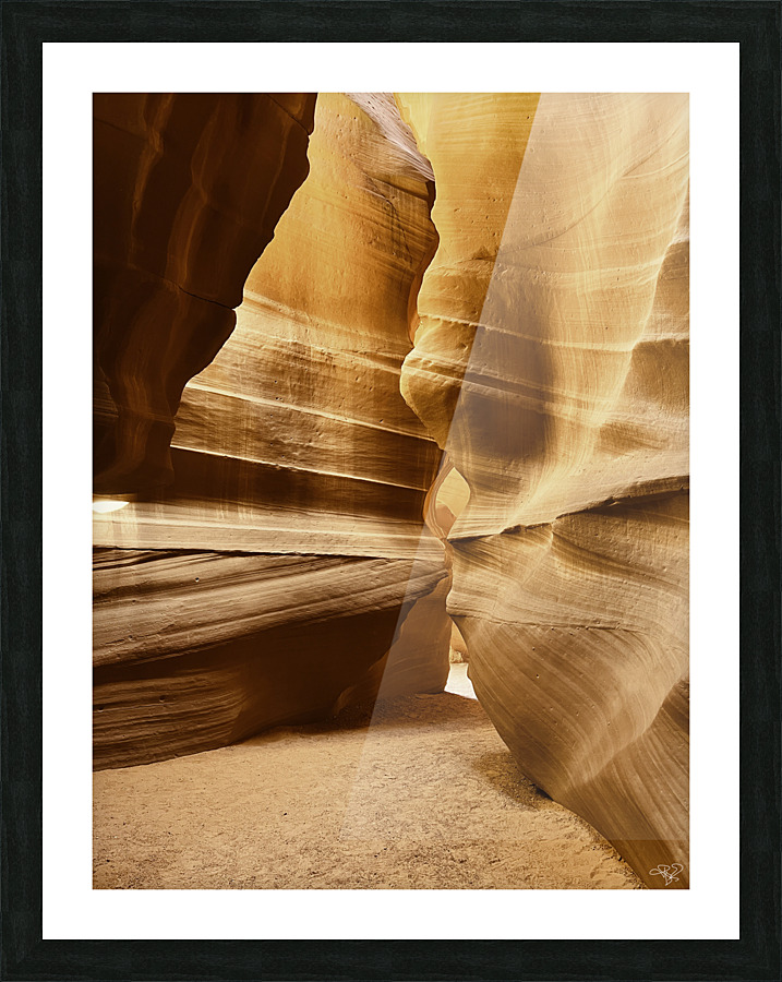 Antelope Big Top Picture Frame print