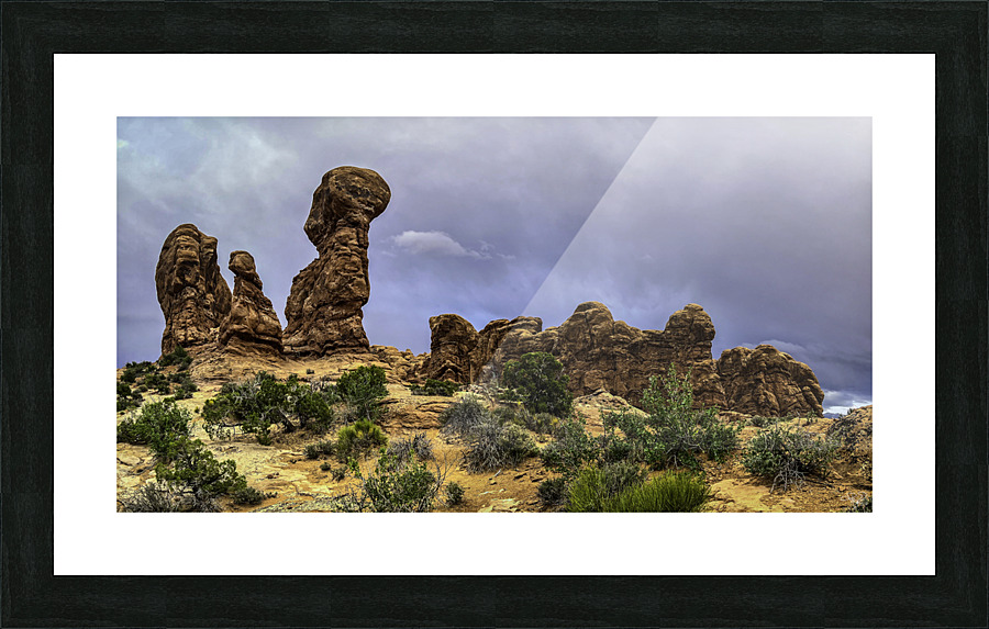 Arches Talking Heads Picture Frame print