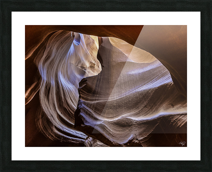 Antelope Pony Picture Frame print