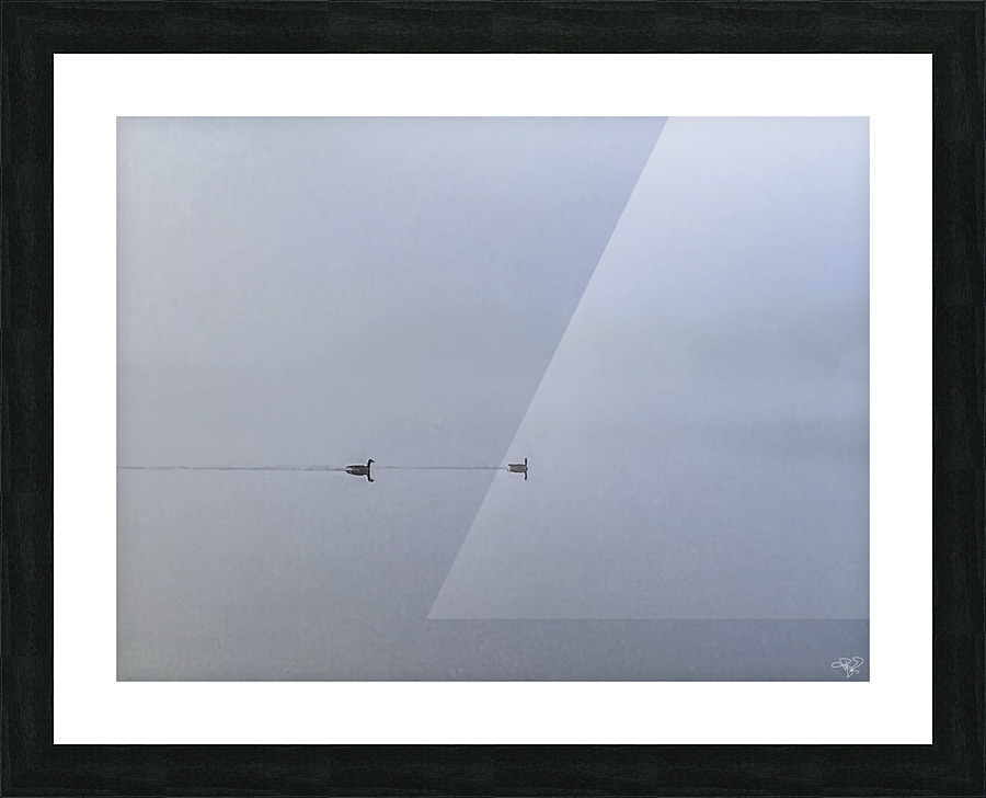 Lovebirds Picture Frame print