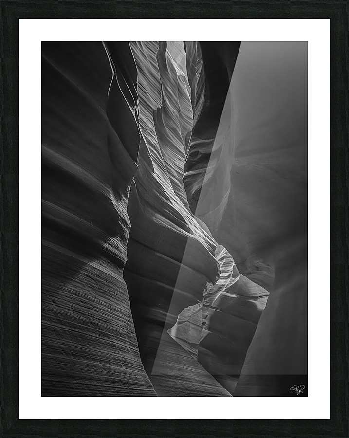 Antelope Contours BW Picture Frame print
