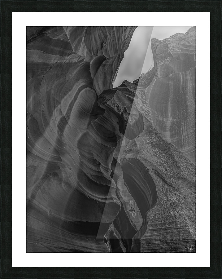 Antelope Winged Creature BW Picture Frame print