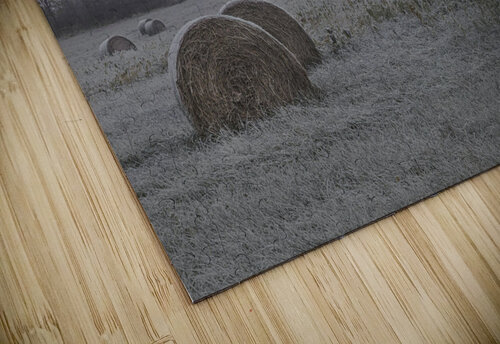 First Frost THOMAS PATRICK KENNEDY puzzle