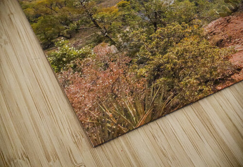 Zion Winding Stream THOMAS PATRICK KENNEDY puzzle