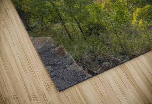 Bear Mountain Bridges THOMAS PATRICK KENNEDY puzzle
