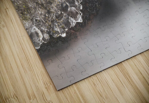 Ice Flow THOMAS PATRICK KENNEDY puzzle