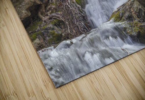Black Rock Roots THOMAS PATRICK KENNEDY puzzle