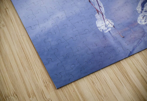 Ice Dreams THOMAS PATRICK KENNEDY puzzle